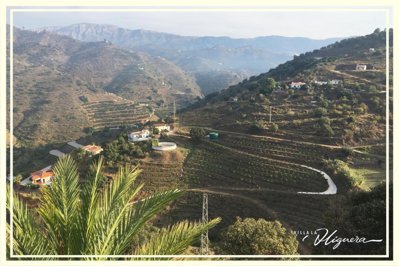 Villa La Higuera Sayalonga エクステリア 写真