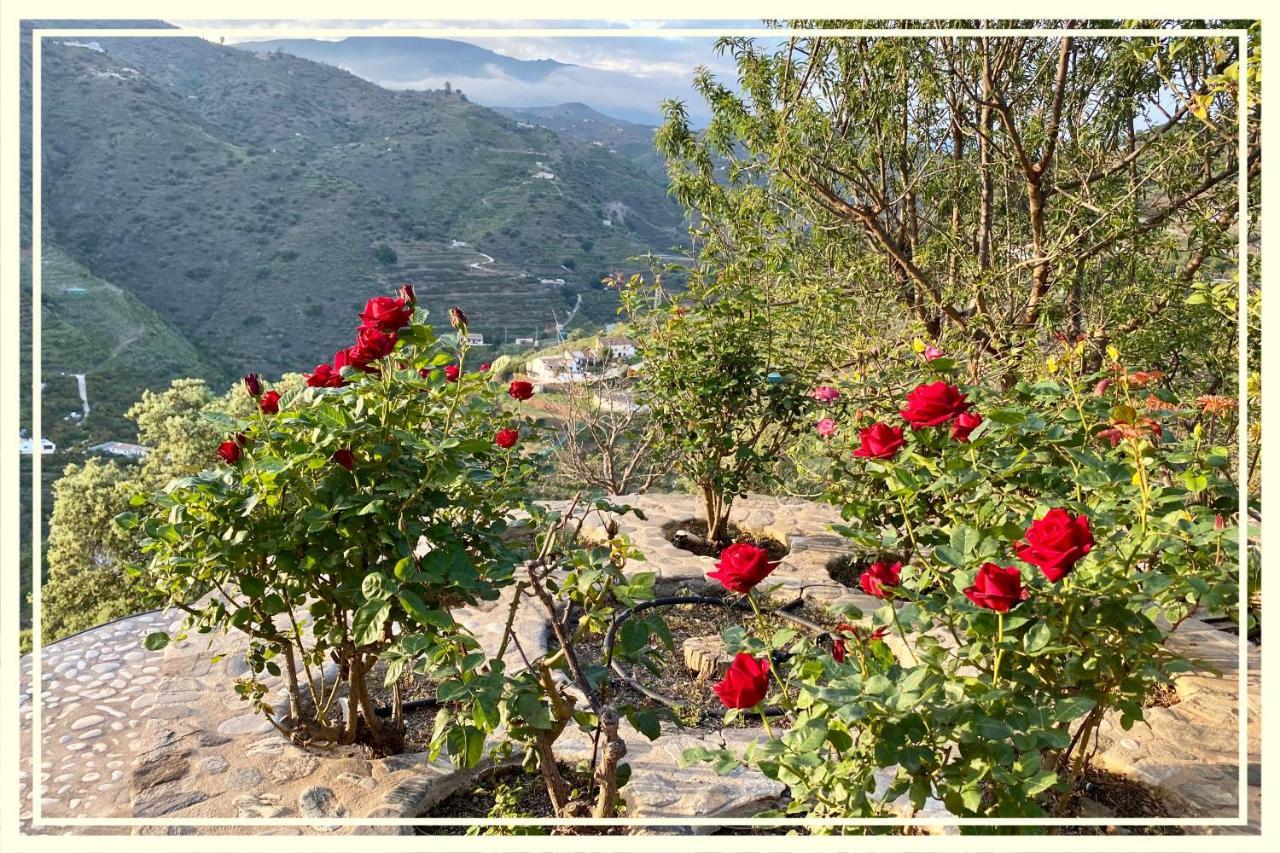 Villa La Higuera Sayalonga エクステリア 写真